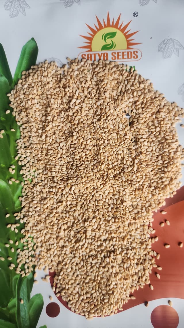Good Seed Quality 1