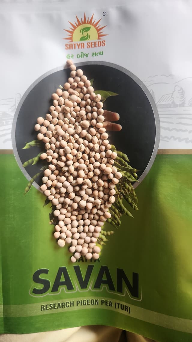 Good Seed Quality 2